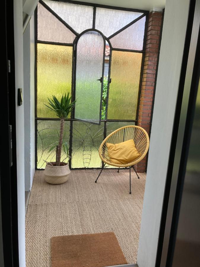 טולוז 50 M2 T2 Au Calme, Lumineux, Confortable, Cosy, Climatise, Privatif Avec Parking Gratuit Et Terrasse מראה חיצוני תמונה