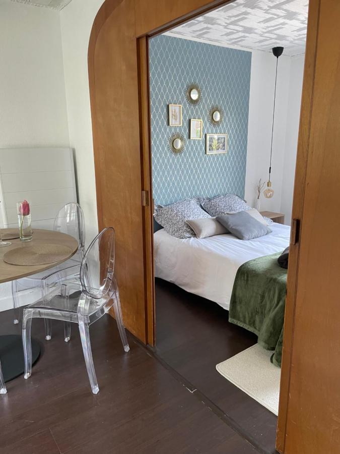 טולוז 50 M2 T2 Au Calme, Lumineux, Confortable, Cosy, Climatise, Privatif Avec Parking Gratuit Et Terrasse מראה חיצוני תמונה